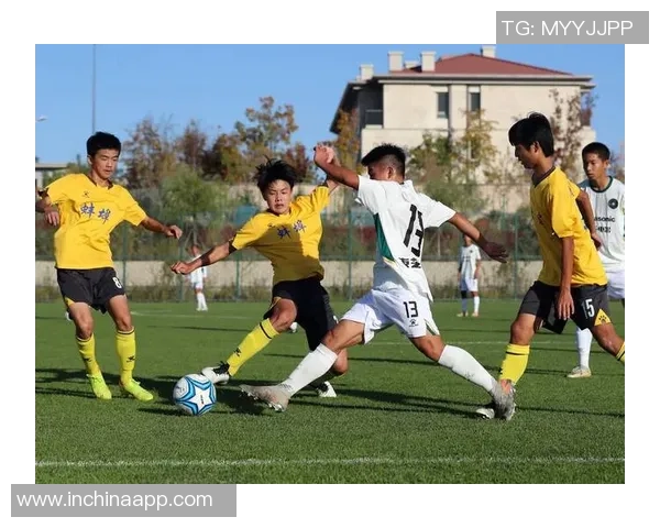 足球业态的多元发展与未来趋势探讨：从职业联赛到青训体系的全景分析