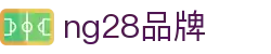 ng28(南宫)相信品牌的力量