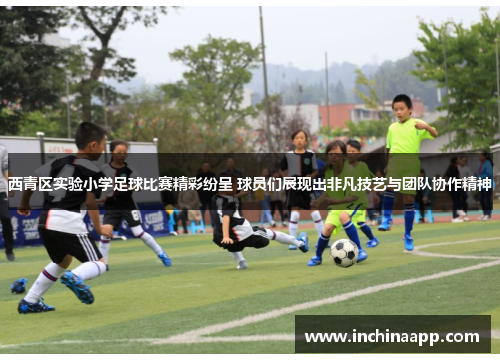 西青区实验小学足球比赛精彩纷呈 球员们展现出非凡技艺与团队协作精神