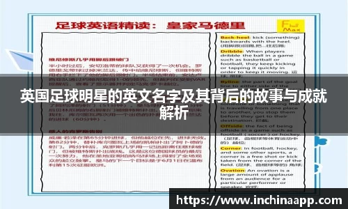 mk体育官网入口